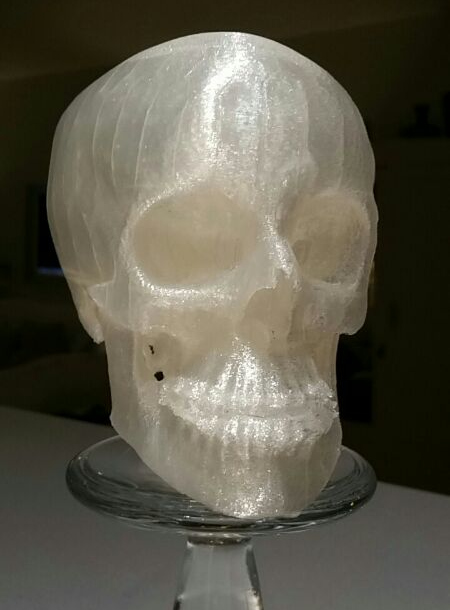 3D Printed Head