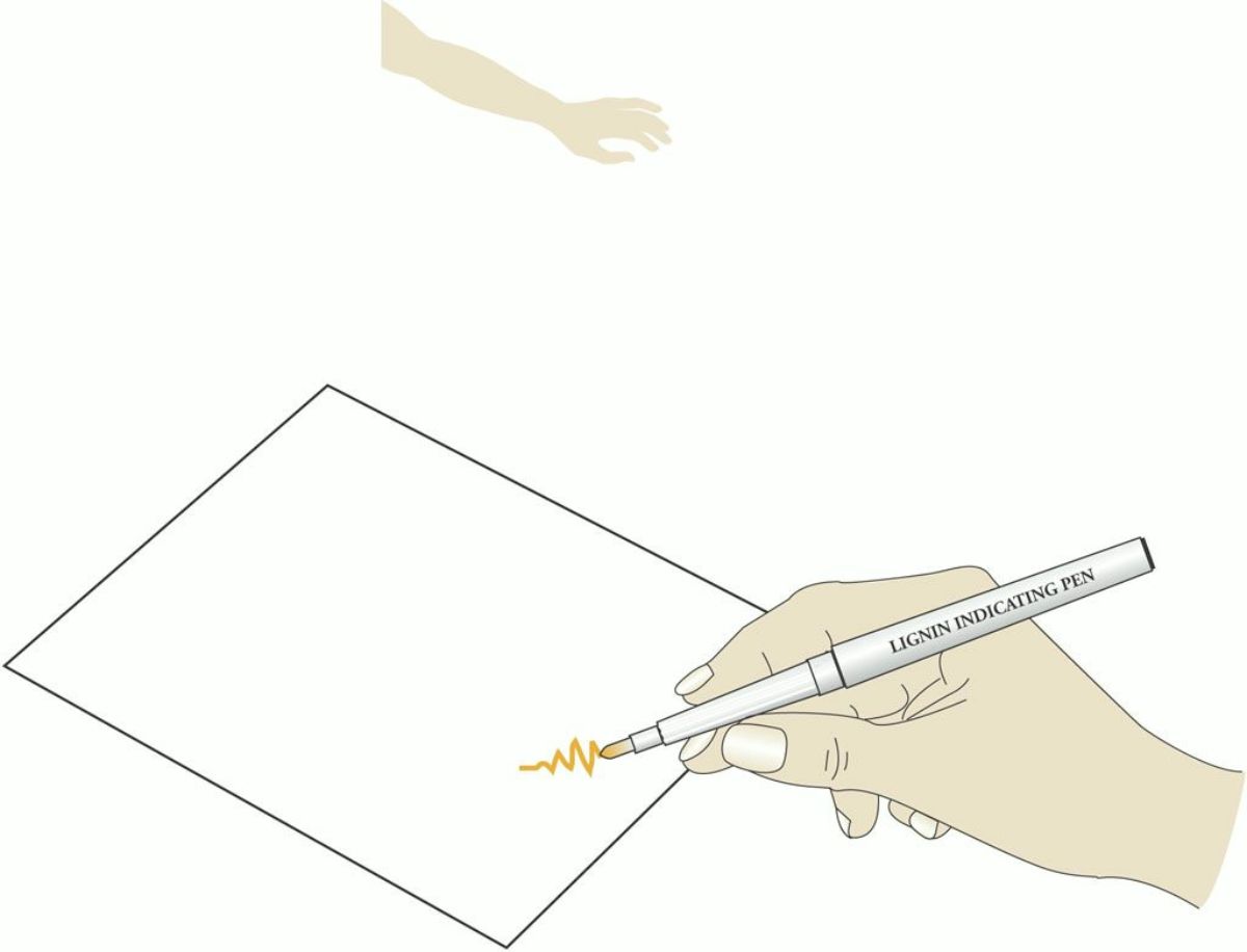 Lignin Indicating Pen