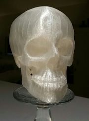 3D printed head.jpeg