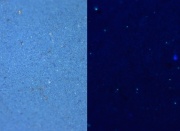 Cerulean blue C100x.jpg