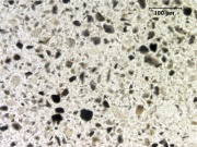 2 Calcined bone 200X.jpg