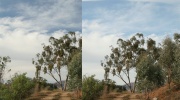 Polarizer comparison.jpg