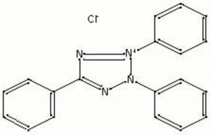 Triphenyltetrazolium chloride.jpg