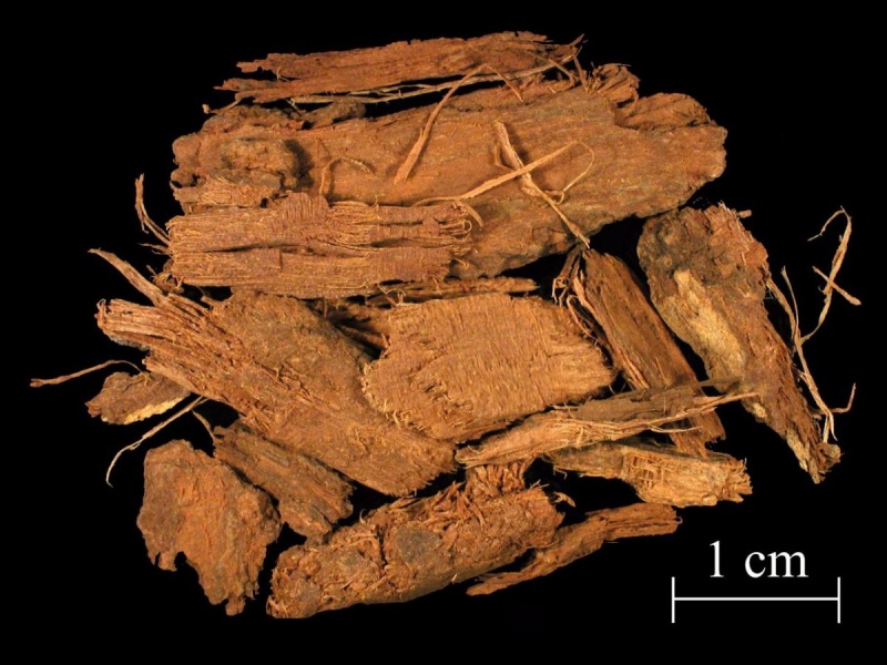 File:Quercitron bark pieces 1.jpg