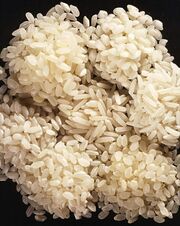 Rice.varieties.comp USDA ARS.jpg