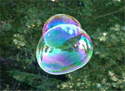 Soap Bubble - foliage background - iridescent colours - Traquair 040801.jpg