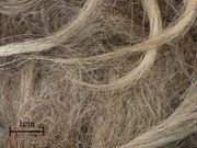 Wool unkn fibers.jpg
