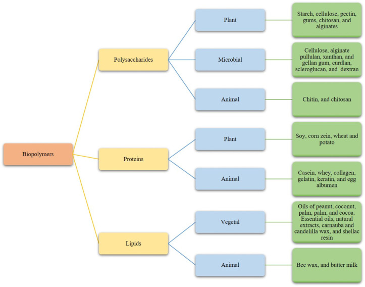 Some types of lipids, proteins, and polysaccharides used in coatings