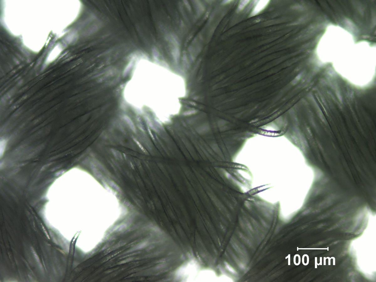 Wool challis at 100x