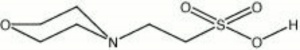 Morpholino ethanesulfonic acid.jpg