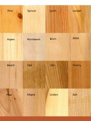 Wood-16-labeled.jpg