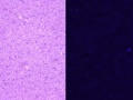 Thumbnail for version as of 16:47, 20 April 2013