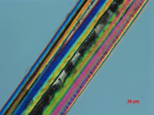RM-009-07-01-09-DIC-400X-PM-1-9-overall fibers.jpg