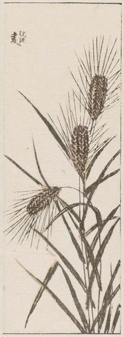 Barley Hokusai MFA.jpg