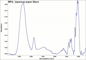 MFA- Japanese paper fibers.jpg