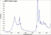 MFA- Salmon eggs.jpg