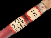 172 cad barium red.jpg