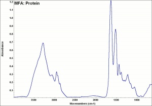 MFA- Protein.jpg