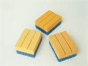 P181 Wishab Sponges 7.jpg