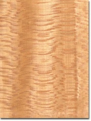 Image5 lacewood.jpg