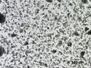 5 Rice starch 200XS.jpg