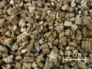 Vermiculite2.jpg
