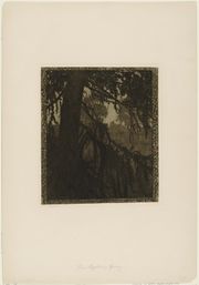 Etching of larch 1984156.jpg