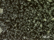 5 Rice starch 200XS pol.jpg