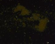 19thc Naples Yellow lead zinc antimonate Kremer XPL2 400x.jpg