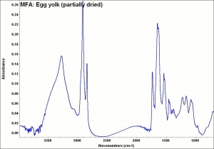 MFA- Egg yolk (partially dried).jpg