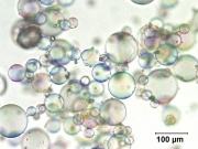 Microballoons 200X.jpg