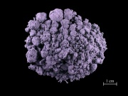 Methyl violet.jpg