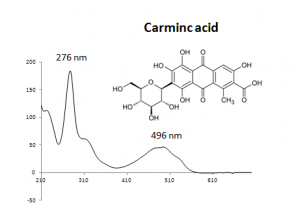 Carminic acid UV.PNG
