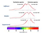 Excitation and emission maxima for safflower, madder, and sappanwood