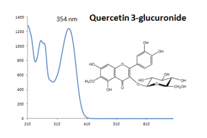 Quercetin 3-glucuronide UV.PNG