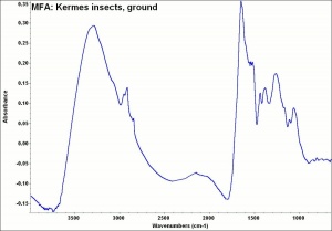 MFA- Kermes insects, ground.jpg