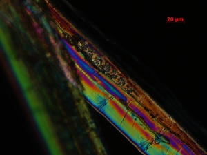 SN-036-06-22-09-POL-400X-MM-4-9-overall fibers and crystals.jpg