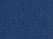 Blue buckram.jpg