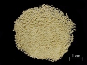 Iron sulfate 1.jpg