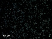 16 Barium chromate 200X pol.jpg