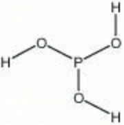 Phosphorous acid.jpg