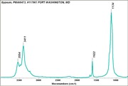 Gypsum PMA.TIF