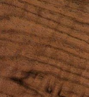 Image 3-African walnut.jpg