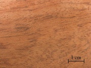 Babinga Afr.rosewood.jpg