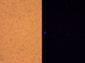 Thumbnail for version as of 16:45, 20 April 2013