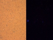 Marsorange C100x.jpg
