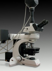 Optical microscope.jpg